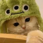 Avatar de Julieta Rivera