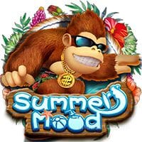 vln casino Summer Mood